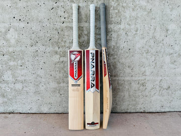 English Willow vs Kashmir Willow Cricket Bats: A Detailed Comparison